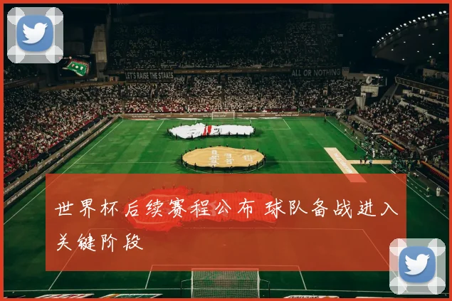世界杯后续赛程公布 球队备战进入关键阶段