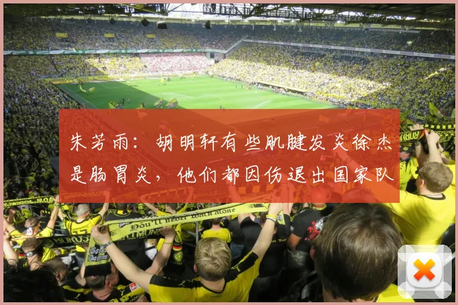 朱芳雨:胡明轩有些肌腱发炎徐杰是肠胃炎,他们都因伤退出国家队