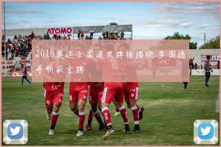 2016奥运会柔道奖牌榜揭晓 多国选手斩获金牌
