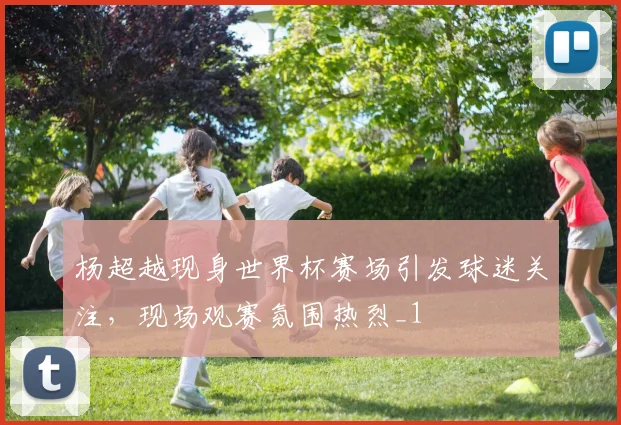 杨超越现身世界杯赛场引发球迷关注，现场观赛氛围热烈_1