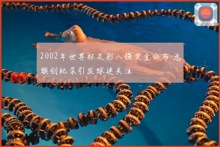 2002年世界杯足彩八强奖金公布 总额创纪录引发球迷关注