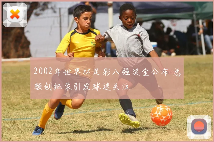 2002年世界杯足彩八强奖金公布 总额创纪录引发球迷关注