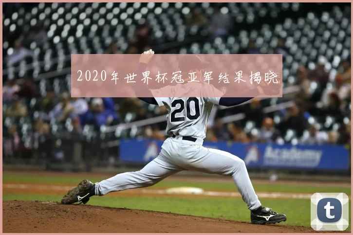 2020年世界杯冠亚军结果揭晓