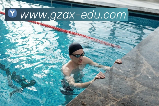 世界杯官网中文版平台生态图